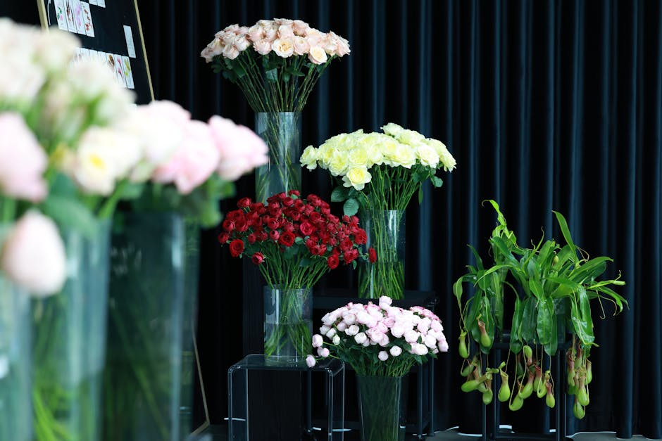 公司戶口的深度文化意義與實務應用