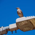 女上衣的時尚秘訣大公開