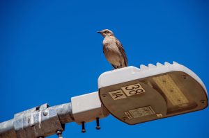 女上衣的時尚秘訣大公開