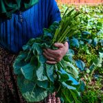 方巾的妙用與日常生活小秘密