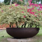 天台花園的設計與維護攻略